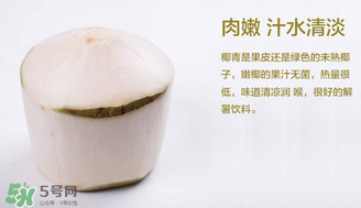 孕婦能不能喝椰青？椰青孕婦能喝嗎？