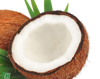 椰青和椰皇的區(qū)別 椰青和椰皇哪個(gè)好？