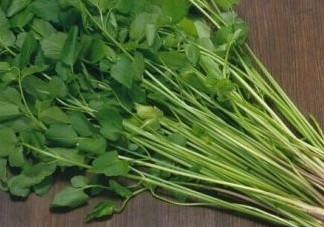 水芹菜是什么菜？水芹菜是野芹菜嗎