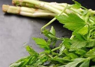 水芹菜的葉子可以吃嗎？水芹菜葉子能吃嗎