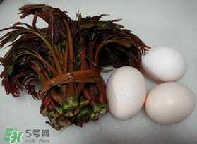 哺乳期可以吃香椿炒雞蛋嗎？哺乳期可以吃香椿炒雞蛋嗎？