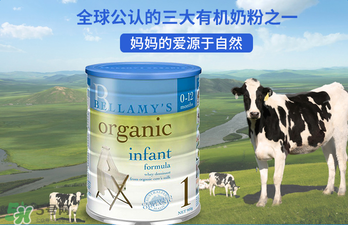 貝拉米奶粉報價多少？貝拉米奶粉價格多少？