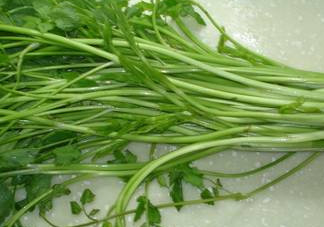 水芹菜有毒嗎？水芹菜有沒有毒