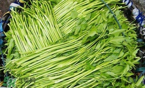 水芹菜怎么吃？水芹菜的做法