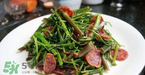 水芹菜孕婦能吃嗎？懷孕的人可以吃水芹菜嗎