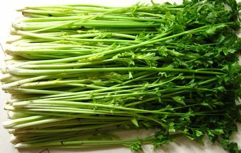水芹菜如何保鮮？水芹菜怎么保鮮