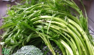 藜蒿葉子能吃嗎？藜蒿葉子可以吃嗎