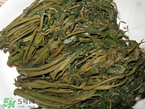 腌香椿要燙嗎？香椿腌之前用不用開水燙？