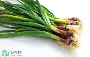 蒜苗多少錢一斤？蒜苗多少錢一斤2017？