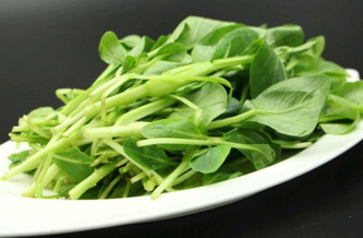 雞毛菜是什么菜？雞毛菜是小白菜嗎