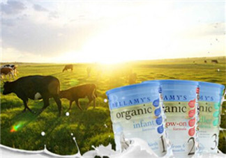 貝拉米奶粉甜嗎？貝拉米奶粉甜不甜？