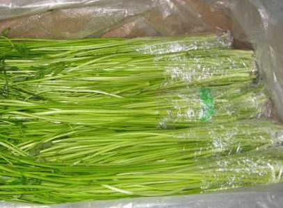 水芹菜如何保鮮？水芹菜怎么保鮮