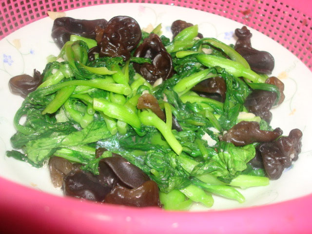 雞毛菜是什么菜？雞毛菜是小白菜嗎