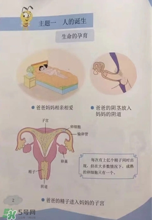 孩子瀏覽成人網(wǎng)站怎么辦？小學(xué)性教育有沒有必要？