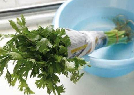 水芹菜如何保鮮？水芹菜怎么保鮮