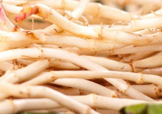 新鮮魚腥草怎么煮水？魚腥草怎么煮水喝