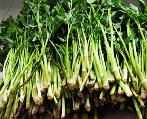 水芹菜是什么菜？水芹菜是野芹菜嗎