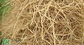 魚(yú)腥草根怎么吃？魚(yú)腥草根怎么做好吃