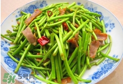 藜蒿葉子能吃嗎？藜蒿葉子可以吃嗎