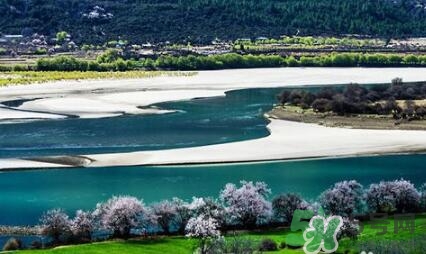 四月份去哪里旅游比較好？四月份最適合旅游的地方