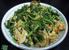 香椿炒雞蛋有毒嗎？香椿炒雞蛋的禁忌