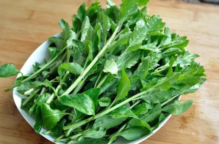 枸杞頭是什么樣子？枸杞頭是什么菜