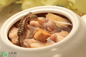 孕婦可以吃海馬煲湯嗎？海馬湯孕婦可以喝嗎？