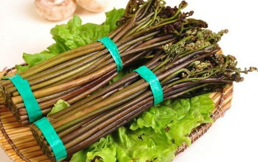 蕨菜到底能不能吃？山上的蕨菜能不能吃