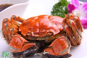 四月份有大閘蟹嗎？4月份還能買到大閘蟹嗎？