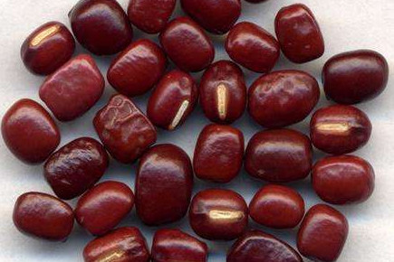 赤小豆是赤豆嗎？赤小豆是紅小豆嗎