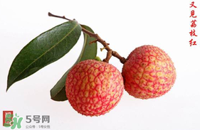 4月份有荔枝嗎？四月份有荔枝嗎？