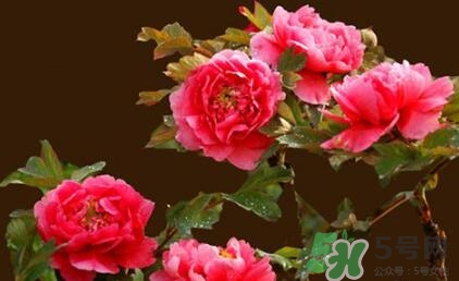 四月份去哪里旅游比較好？四月份最適合旅游的地方