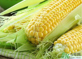 四月份的玉米能吃嗎？四月份有玉米嗎？
