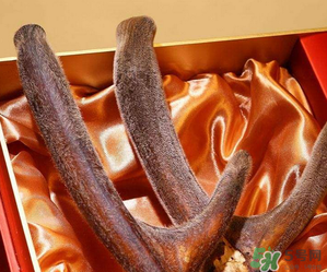 鹿茸不能和什么一起吃？鹿茸不能與什么同食？