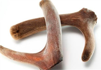 鹿茸熬雞起什么功效？鹿茸雞湯的功效