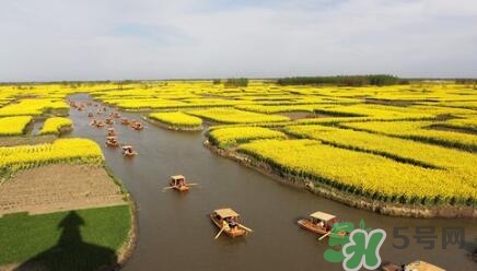 四月份去哪里旅游比較好？四月份最適合旅游的地方