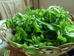 枸杞頭怎么吃？枸杞頭如何吃