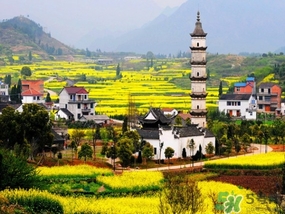 四月份去哪里旅游比較好？四月份最適合旅游的地方