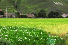 四月份去哪里旅游比較好？四月份最適合旅游的地方