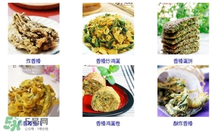 香椿芽怎么吃？新鮮香椿芽怎么吃