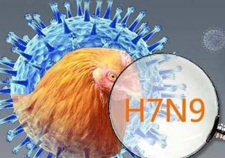 四月份還有禽流感嗎？4月份是禽流感高發(fā)期嗎？