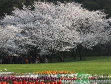 四月份去哪里旅游比較好？四月份最適合旅游的地方