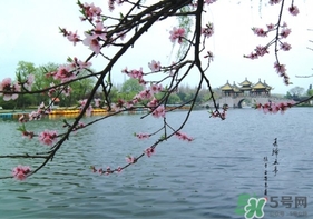 四月份去哪里旅游比較好？四月份最適合旅游的地方