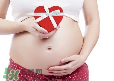 枸杞頭孕婦能吃嗎？枸杞頭孕婦可以吃嗎