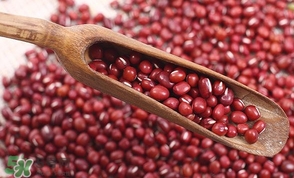 赤豆是什么豆？赤豆是紅豆嗎