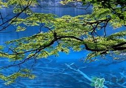 四月份去哪里旅游比較好？四月份最適合旅游的地方