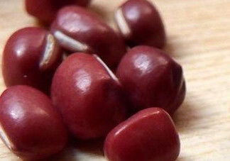 赤豆是什么豆？赤豆是紅豆嗎