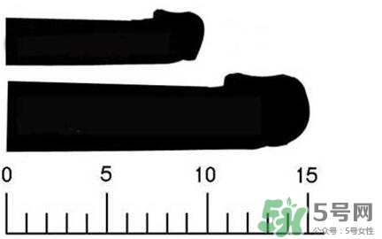 男人陰莖多長正常？男人陰莖增長的方法