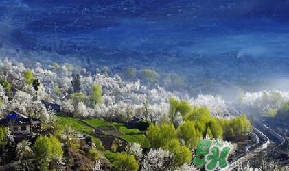 四月份去哪里旅游比較好？四月份最適合旅游的地方