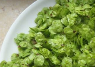 榆錢有什么特點(diǎn)？榆錢有什么作用